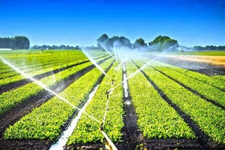 100 میلیون دلار تجهیزات آبیاری محصولات کشاورزی صادر شد