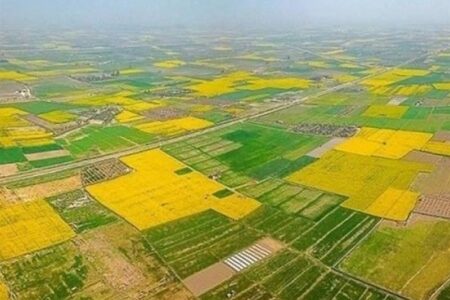 70 درصد اراضی کشاورزی سنددار شدند