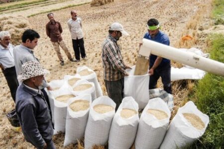 اندازه بازار جهانی ماشین آلات آسیاب برنج تا ۲۰۳۰ | ماشین آلات دست دوم؛ مانع گسترش بازار