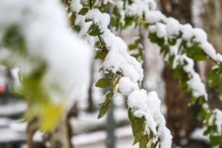 بارش برف مناطقی از اصفهان را فرا می‌گیرد؛ صدور هشدار سطح زرد هواشناسی
