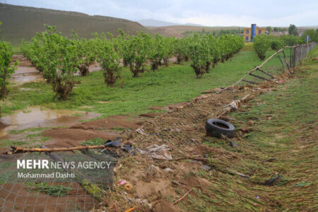 بارش‌های اخیر بیش از ۵ میلیارد تومان به بخش کشاورزی لامرد خسارت زد