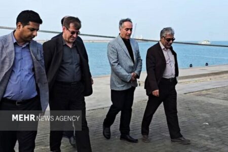 حسینی: کنترل دقیق نهاده‌های دامی پیش از ورود به چرخه تولید ضرورت دارد