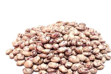 رشد 27 برابری قیمت لوبیا چیتی در 6 سال