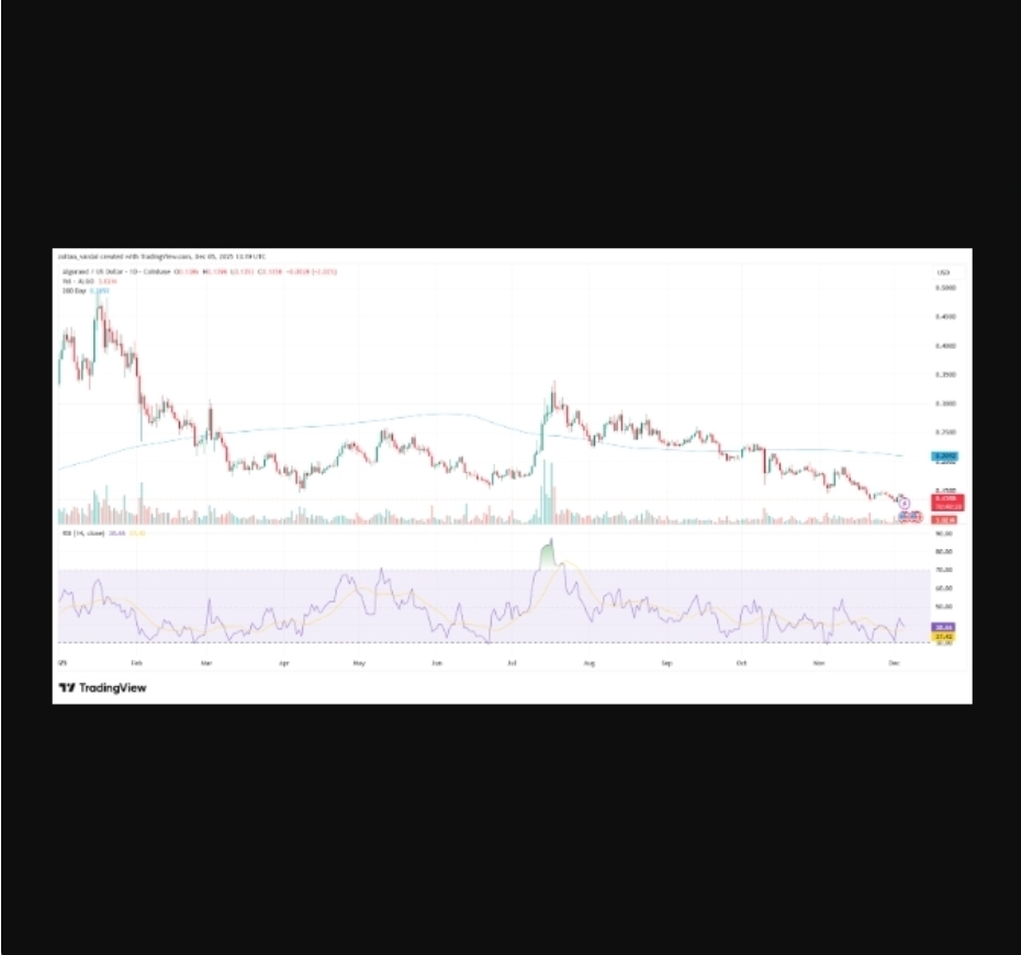 ریپل، زی‌کش و الگورند؛ برندگان غیرمنتظره بازار رمزارز در سال ۲۰۲۵