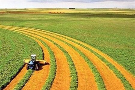 ضوابط کشت فراسرزمینی اعلام شد