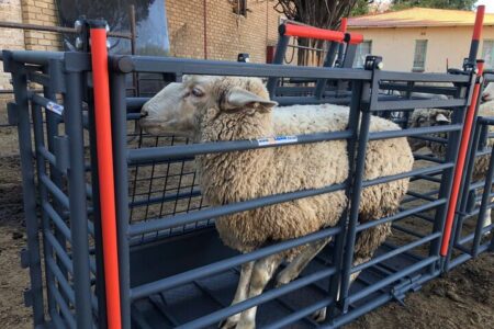 پیش بینی بازار ۸۴میلیارد دلاری تجهیزات دامپروری تا ۲۰۳۲