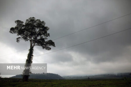 یخ‌بندان در استان سمنان؛ دمای هوا زیر صفر ماند