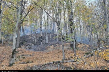 «نجات آب» ــ 52 | صیانت از پوشش گیاهی بالادست حوضه آبریز